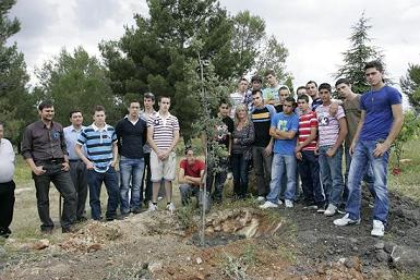 ARBOL1