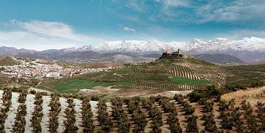 Copia de motasierranevadabuena