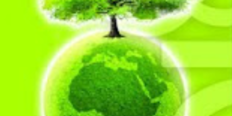 dia del medio ambiente