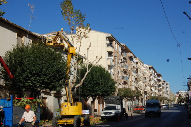 DSC_0140 – copia