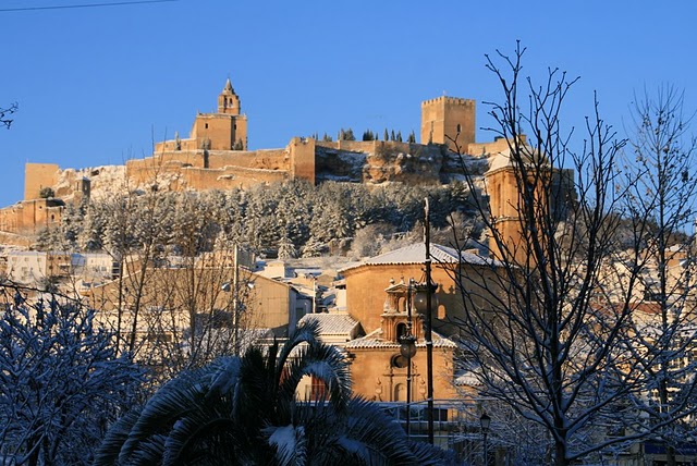 alcniev