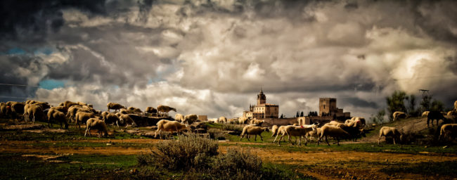 Accesit Alcala Naturalmente 2013