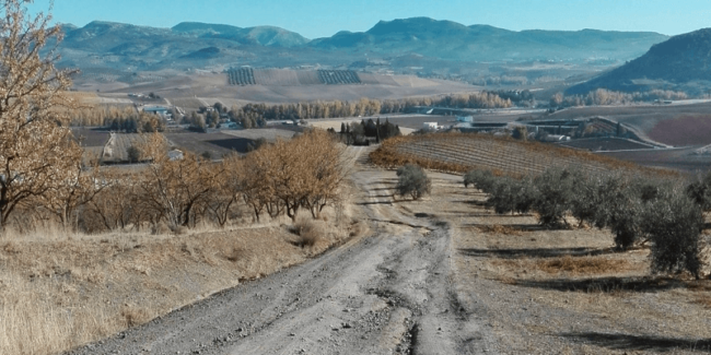 CAMINOS-800×400