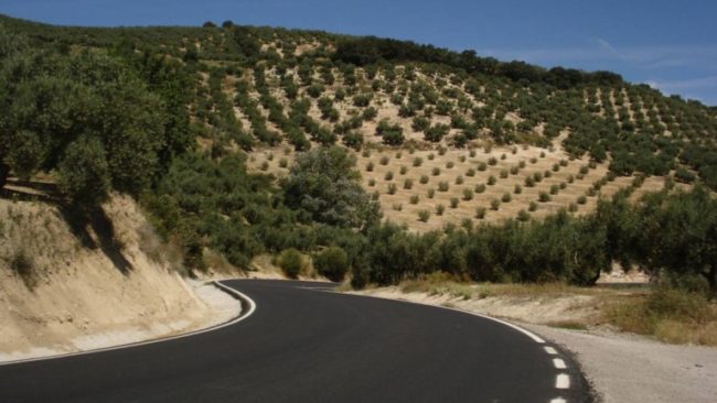 CARRETERA