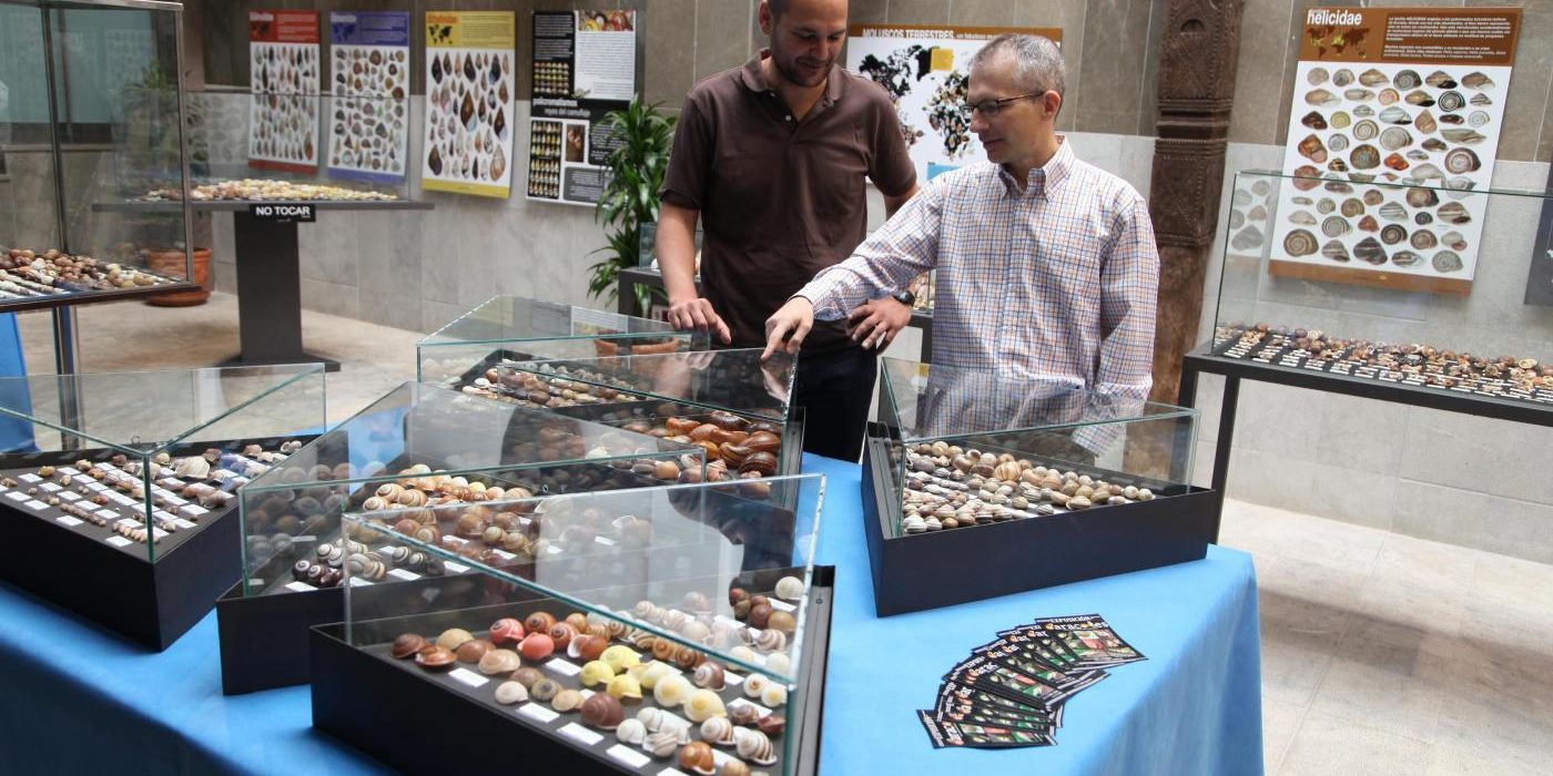 EXPOSICION CARACOLES 2013