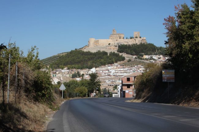 Imagen 020