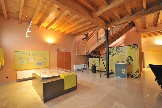 Museo-del-Aceite-de-Baena
