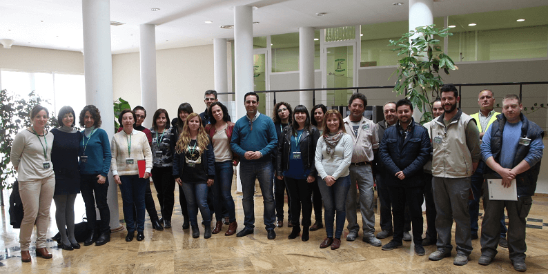 PROGRAMAS EMPLEO 2017