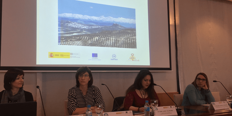 SUBVENCION IGUALDAD 2017