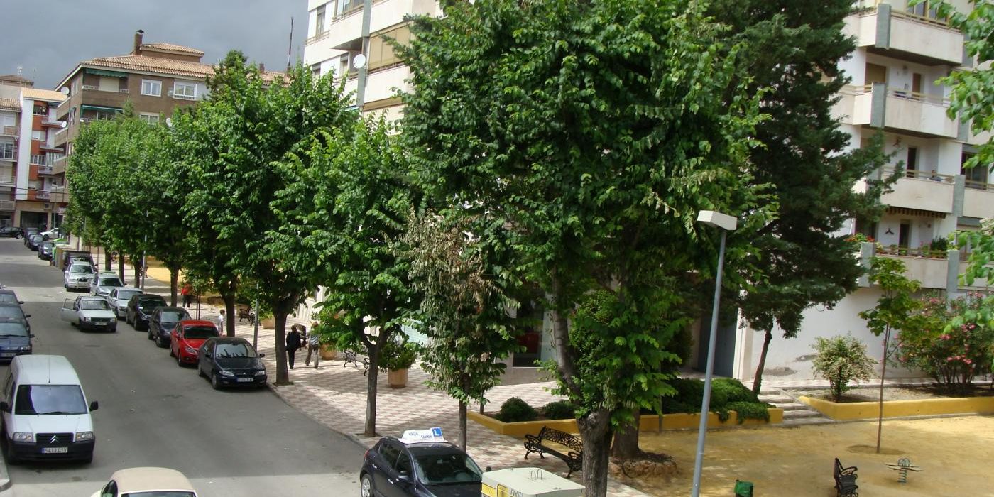 TRATAMIENTO FITOSANITARIO