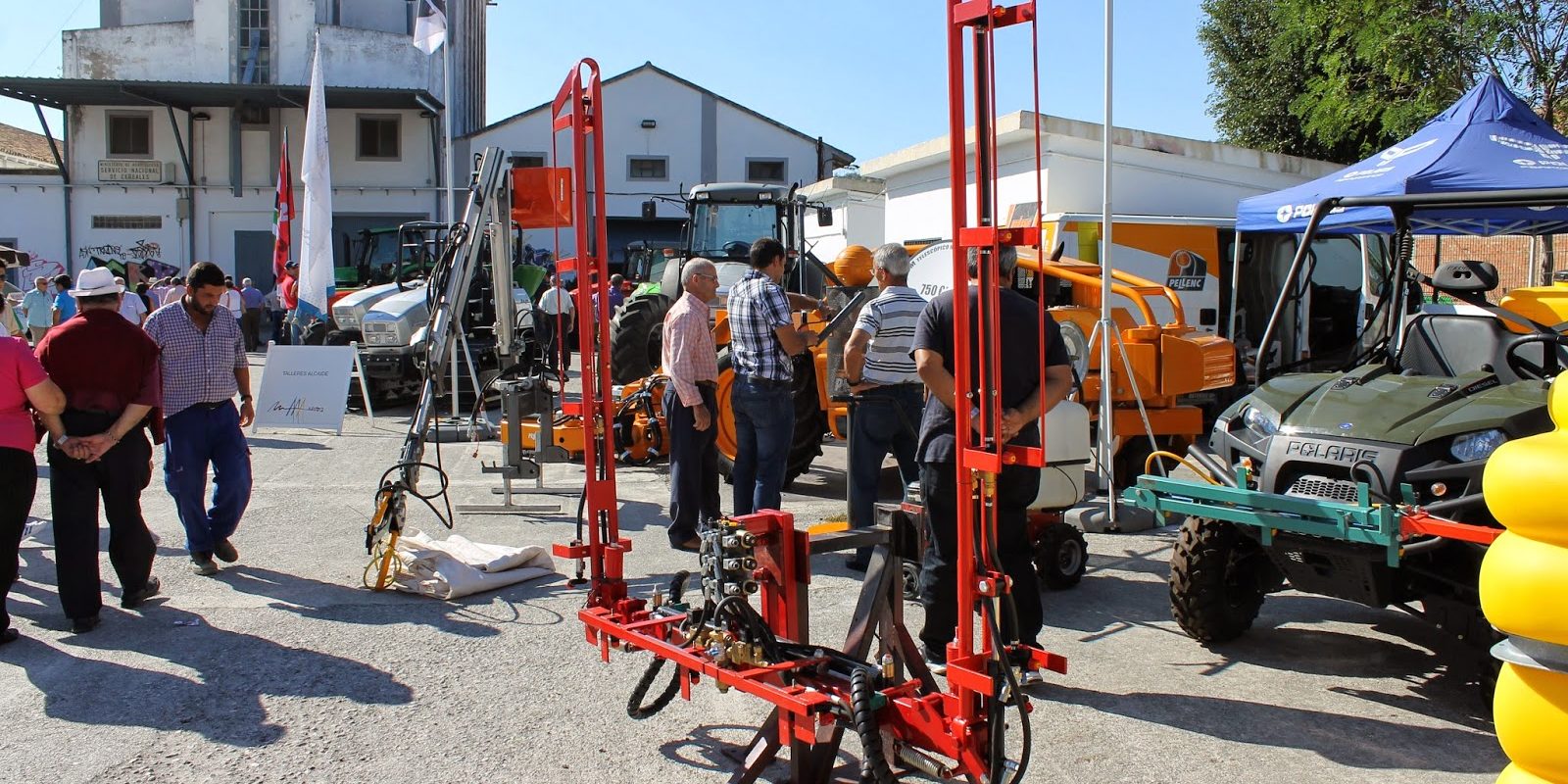 alcalá muestra 2013
