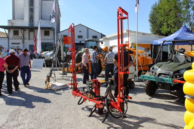 alcalá muestra 2013