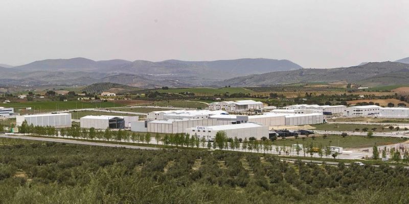 poligono-llano-mazuelos
