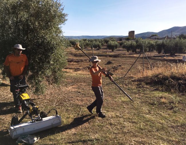 villa romana fuente alamo georradar