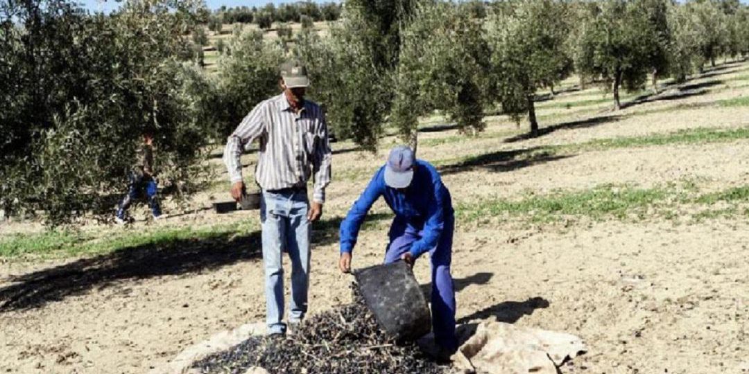 1540832989_219248_1540833275_noticia_normal