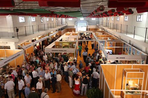 AMuestra2