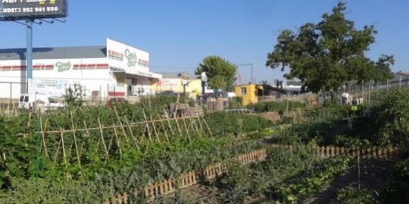 HuertosUrbanosEcologicos