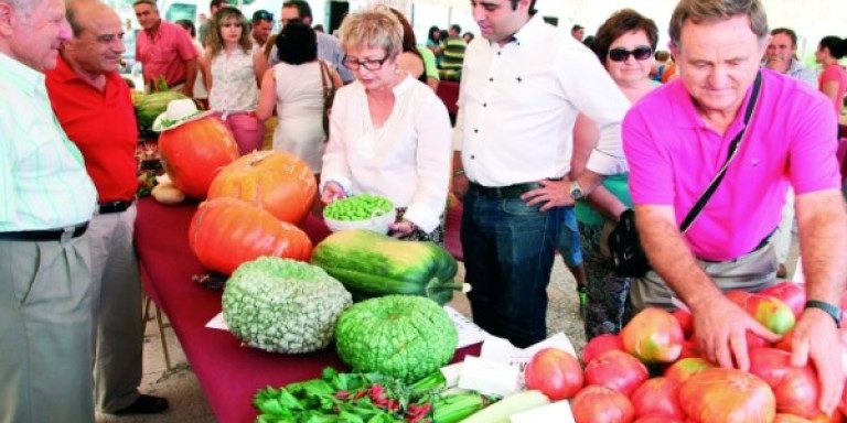 ab2cc07ea89be9067c00521d9547b7be_XL