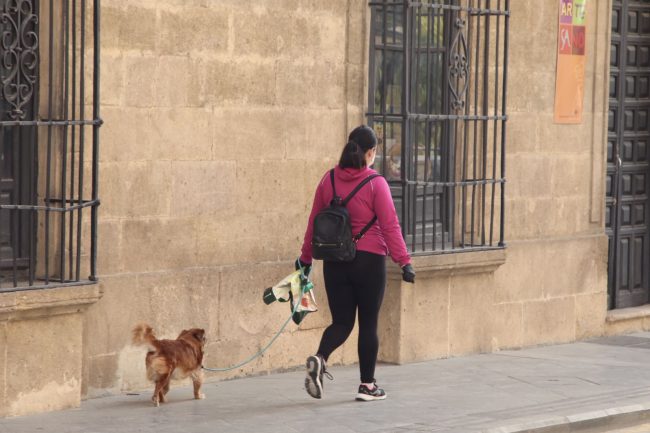 estudio animales