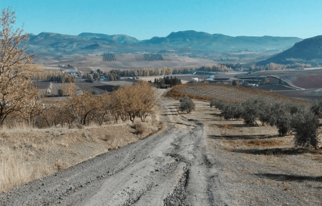 CAMINOS