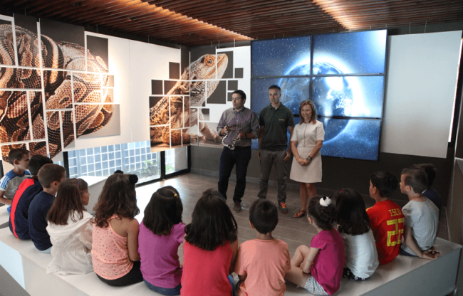 ESCUELA DE VERANO 2018