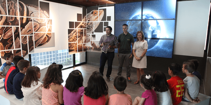 ESCUELA DE VERANO 2018