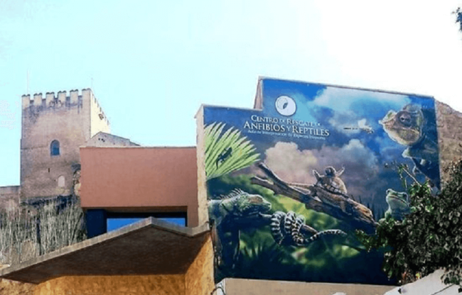 centro de reptiles y anfibios (1)