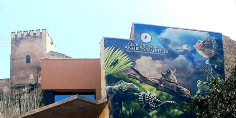 centro de reptiles y anfibios (1)