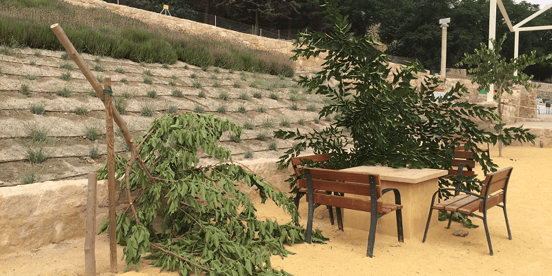 ACTOS-VANDALICOS-2016