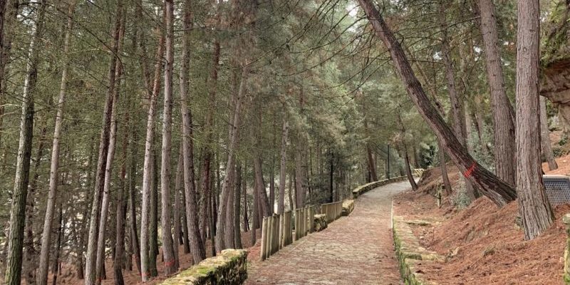 713C6412-41FA-435D-AB11-FC954C76C044