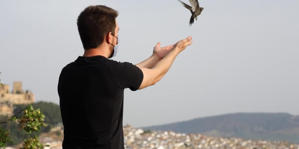 40D583F7-0AAF-4B0D-BA40-BCE2BCDC4AF0