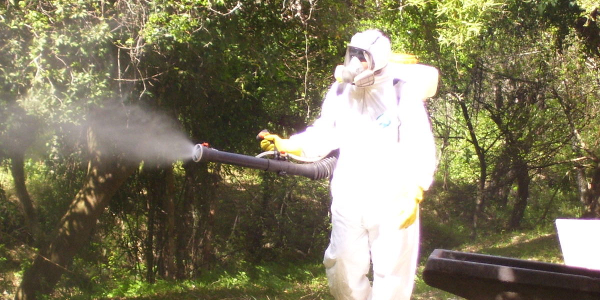 Fumigacion-10a12-06-14