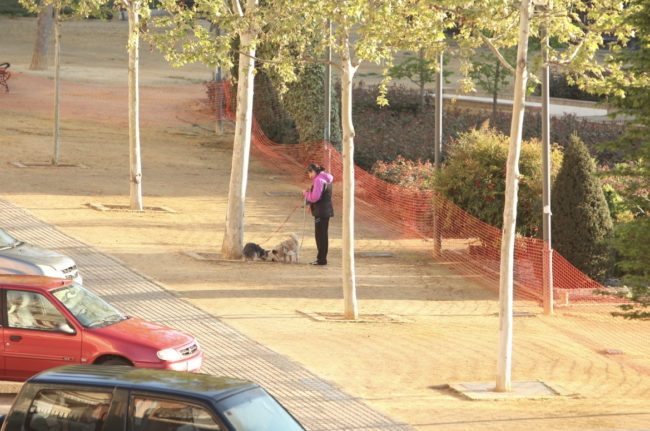 1380640E-C749-42AF-9321-478330FED3D6