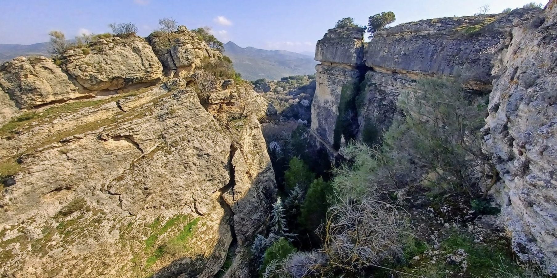 FDA311BA-7168-40D8-9801-7650F9EA510B