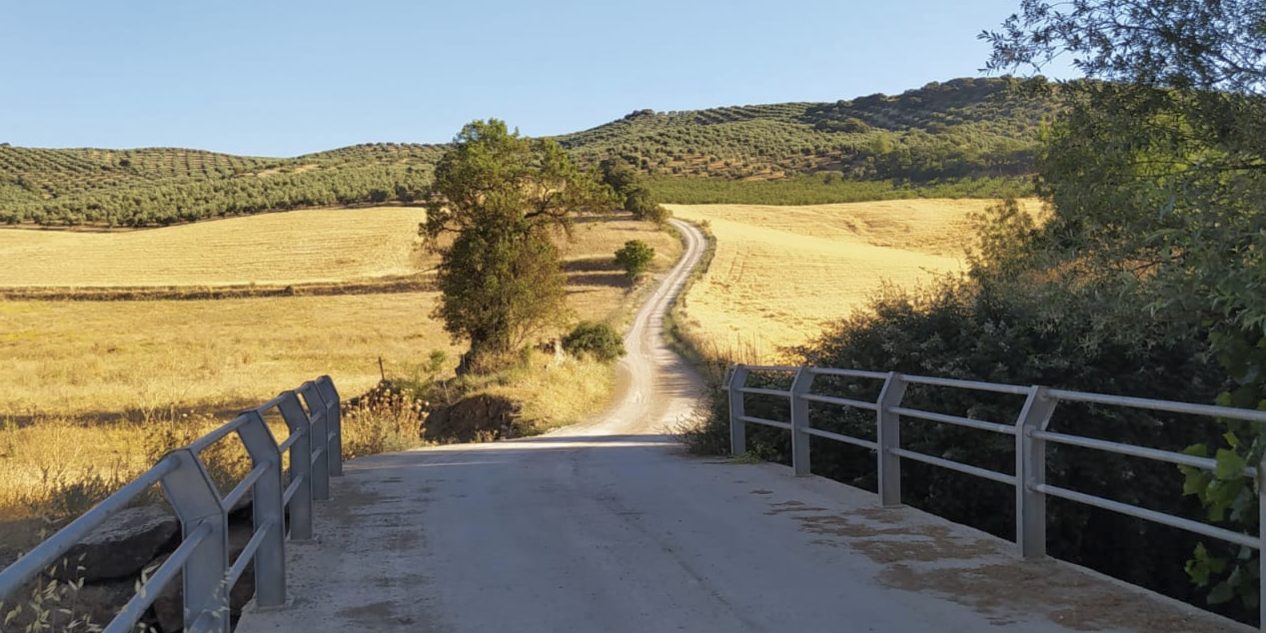 C6BE9DF2-50F4-416D-82EB-D1AC6A17FF8C