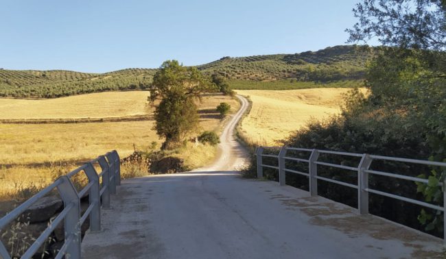 C6BE9DF2-50F4-416D-82EB-D1AC6A17FF8C