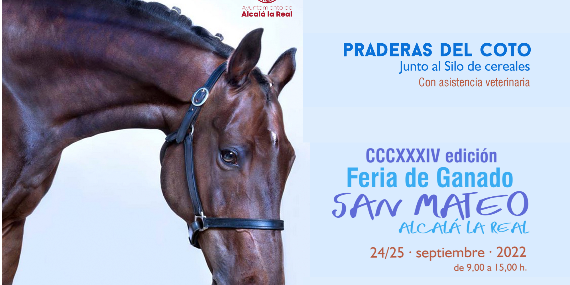 050FFDF5-282B-41C5-8E05-D6F9D95720ED