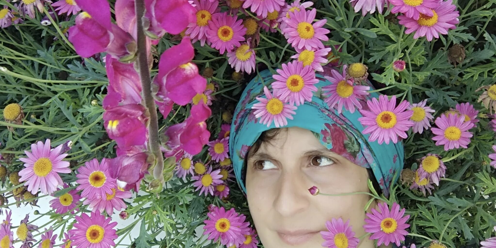 4E119A9E-B249-49CB-B947-0E93E5409078