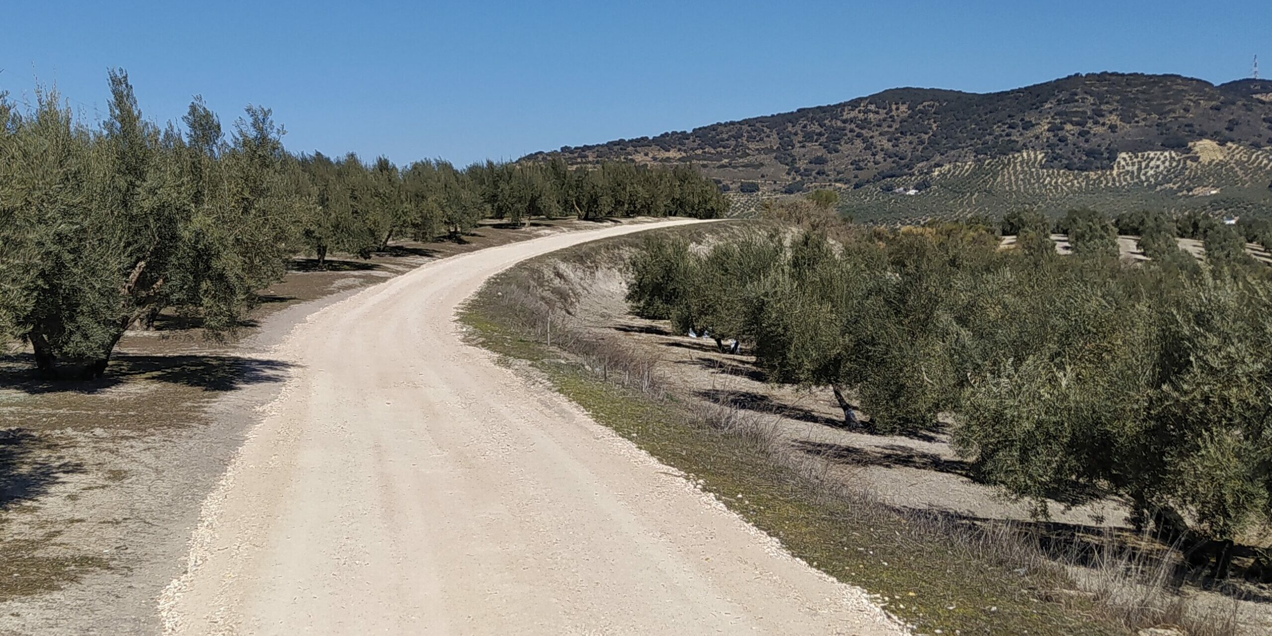 5FC860F3-CA71-434F-AB6D-400F77DB8AD9