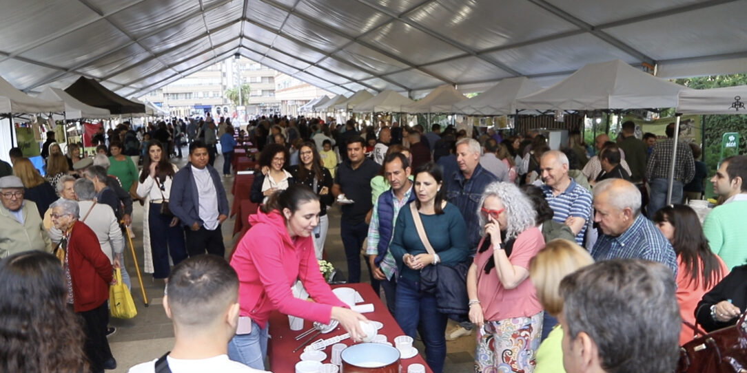 Muestra Quesos taller catas