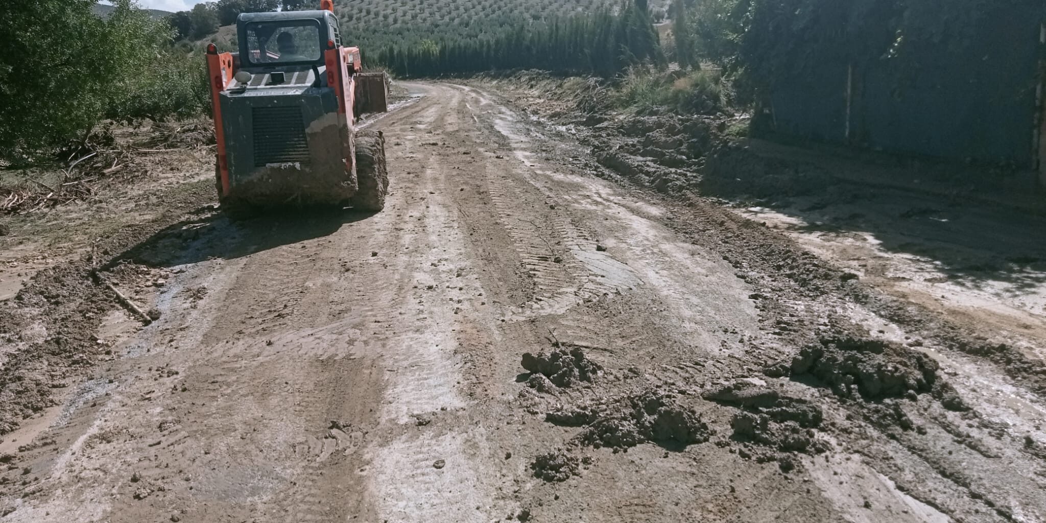 67fddf96-0c11-46a4-ad94-2fe2baade473