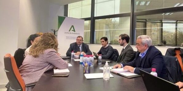 Reunión microcortes Endesa, Junta y Ayuntamiento, Marino, Merce Flores y Javier Calvente 2