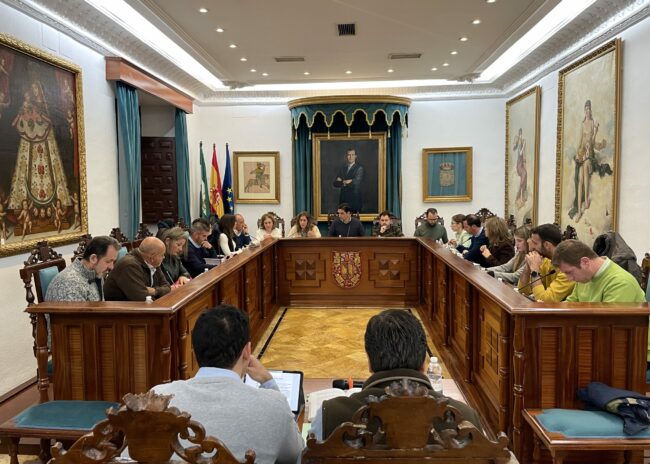 Pleno enero 2024