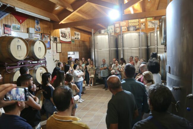 UNED curso vino Blanca Serrano en bodega