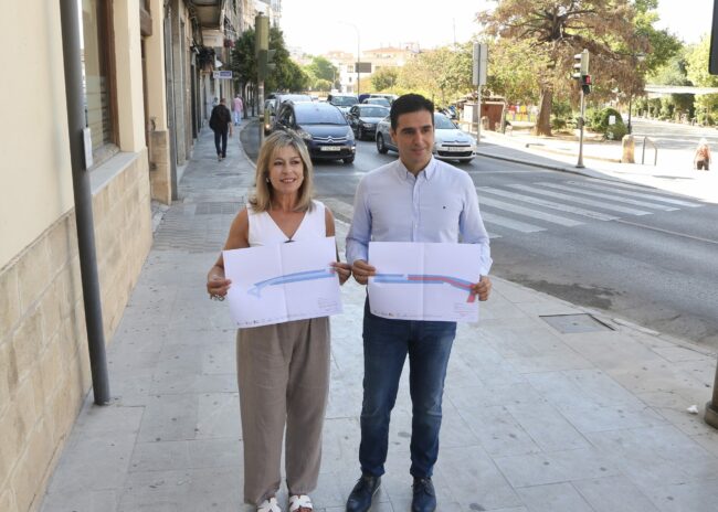 Loli y Marino proyecto calle Álamos presentación con plano