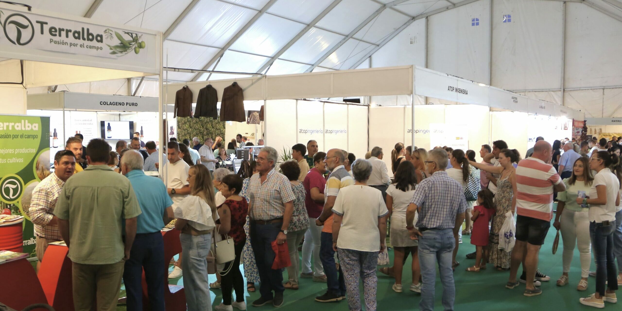 Alcalá Muestra 2024 publico