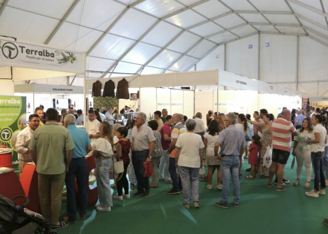 Alcalá Muestra 2024 publico