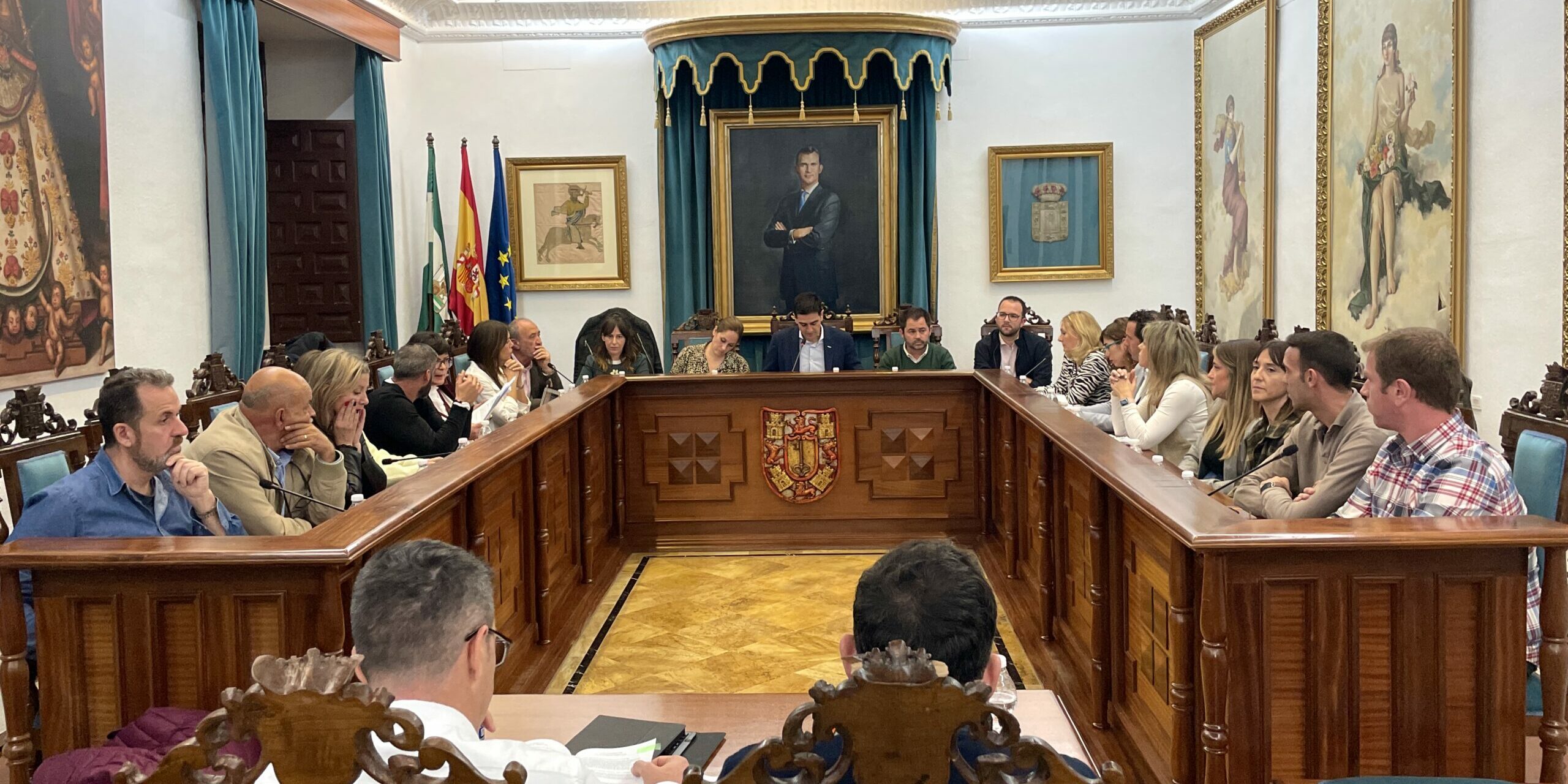 Pleno noviembre 2024