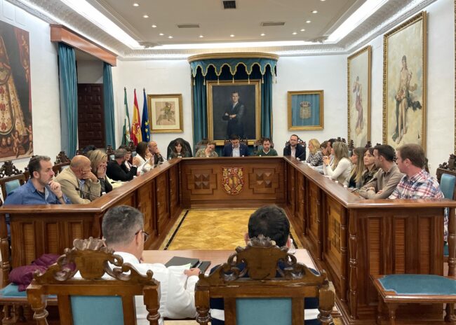 Pleno noviembre 2024