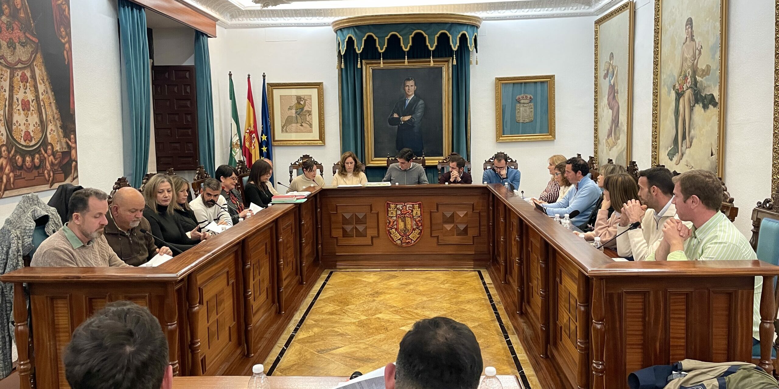 Pleno enero 2025